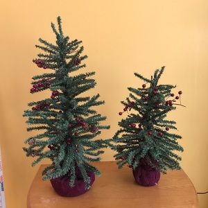 2 Rustic Evergreen Christmas Trees